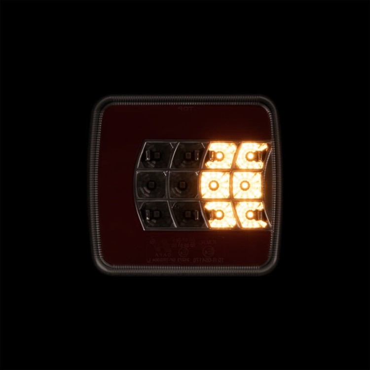 33799_4.jpg