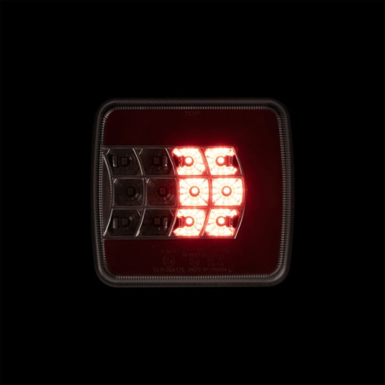 33798_2.jpg