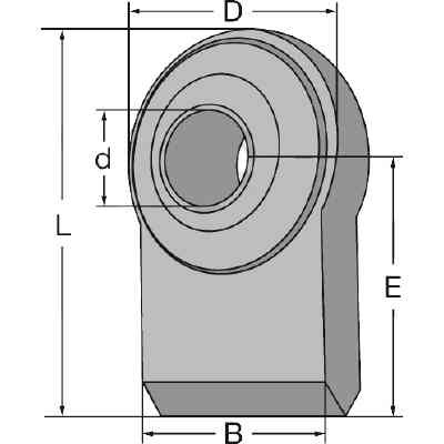 23562.jpg
