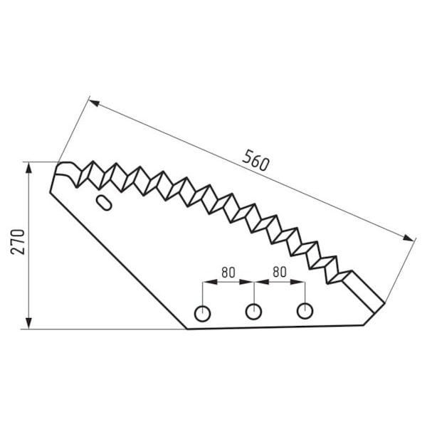21294.jpg