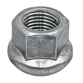 22524.jpg