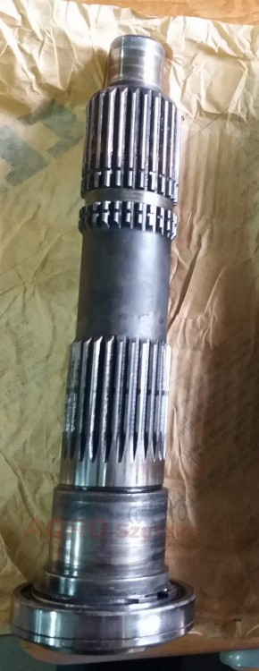 20161019_121855_cr1.jpg