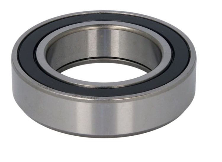 08294.jpg