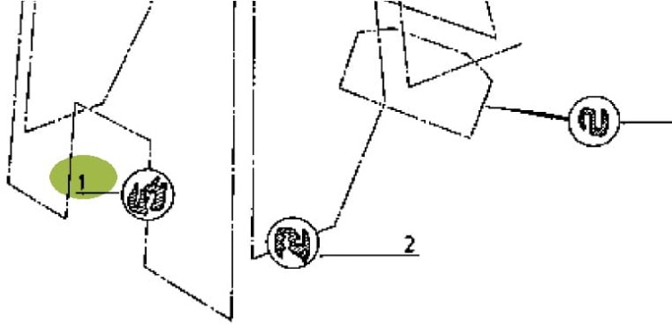 16369.jpg