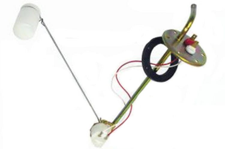 23566.jpg